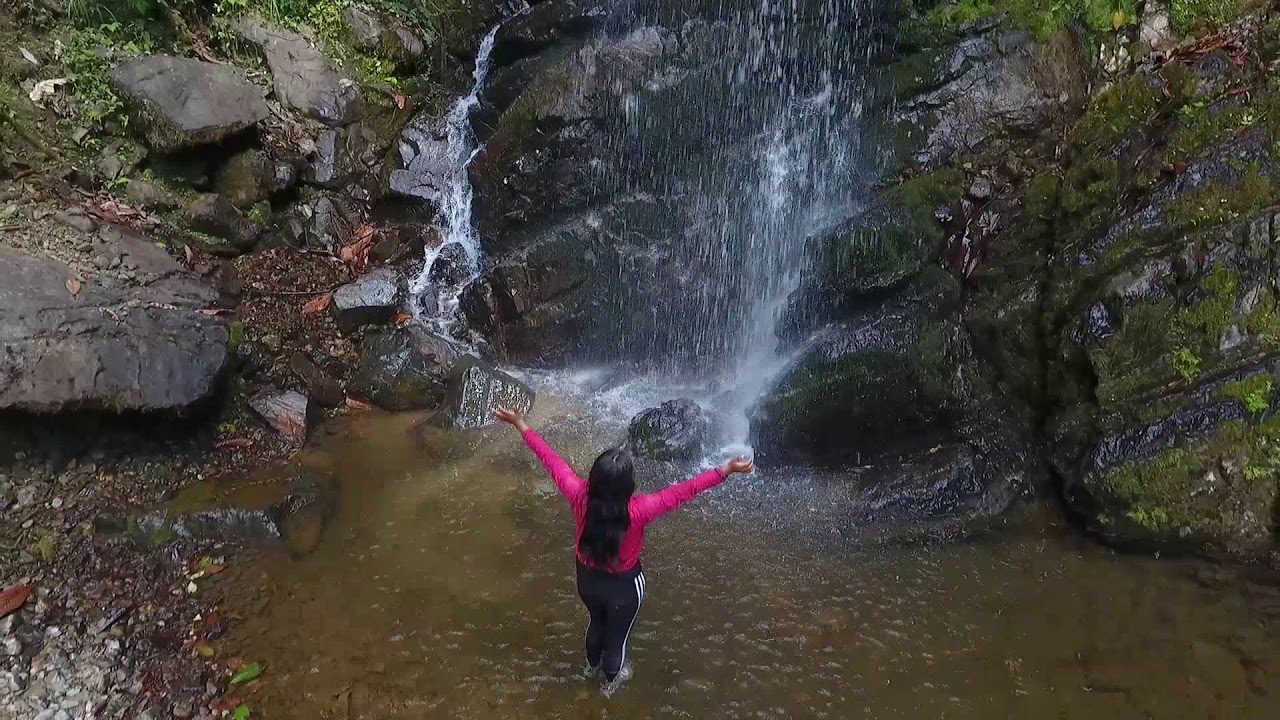 Community of La Palma