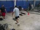 Finisher