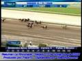 videos de Resumen de Carreras Sab-15-nov-2008