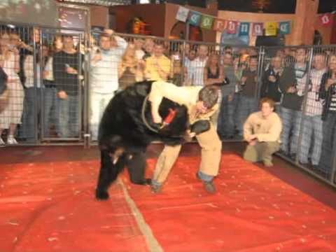 Bear Wrestling Compalation