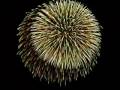 Japan Niigata Fireworks - Part1