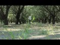 Dev Me Video and Lyrics