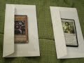 Trades to StardustxDragon and Lawlzyoutoobz