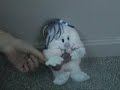 stuffed animal music video

featuring: lentel and chilly

song: new millennium cyanide christ
artist: meshuggah

lyrics:
i'm a carnal, organic anagram.
human flesh instead of written letters.
i rearrange my pathetic tissue.
i incise.
i replace.
i'm reformed.
i eradicate the fake pre-present me.
elevate me to a higher human form.
the characters i am,
made into a word complete,
then i'll be the new norm.

self inflicted fractures.
i replace my bones with bars;
aluminum bleeding oxide;
the drug of gods into my pounding veins

(a human puzzle for all to scorn.
no face.
no back.
directionless.
my scarred edition i'll display;
the organic word for nothingness)

my receiving eyes exchanged with fuses;
blindness induced to prevent destruction.
ceramic blades implanted past my ribs to save me from the dues of inhalation.
i tear my worldly useless skin.
staples to pin it over my ears.
non-receptive of ungodly sounds -
i disable the audio-generators of fear.

hexagonal bolts to fill my mouth,
sharpened to deplete the creator of all violence;
without speech there will be no deceit

(my feet i crush. the flesh i cut away,
so as to not produce the sound of their presence on rotten ground)

baptized in vitriolic acid.
a final touch.
a smoothing of features.
completion of the greatest art;
to cast the godly creatures.
humans, once astray;
made divine.
stripped of congenital flaws.
we're incandescent revelations in a world of darkened forms.

(confide in my new age dogma.
swallow the indoctrination.
you'll come to love it here,
the suicidal atmosphere.
let me into your common mind.
i'll plant my thoughts into its soil.
walk among us self-made gods,
deified through the pains of self torture)

disciples,
come join with me to save a failed humanity.
follow the god of cyanide into the new eternity.
behold; a sacrificial rase a cleansing worshiping of pain.
the new millennium christ here to redeem all from lies

(i've come to save you all. i've come to light your way)