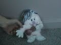 stuffed animal music video

featuring: lentel and chilly

song: new millennium cyanide christ
artist: meshuggah

lyrics:
i'm a carnal, organic anagram.
human flesh instead of written letters.
i rearrange my pathetic tissue.
i incise.
i replace.
i'm reformed.
i eradicate the fake pre-present me.
elevate me to a higher human form.
the characters i am,
made into a word complete,
then i'll be the new norm.

self inflicted fractures.
i replace my bones with bars;
aluminum bleeding oxide;
the drug of gods into my pounding veins

(a human puzzle for all to scorn.
no face.
no back.
directionless.
my scarred edition i'll display;
the organic word for nothingness)

my receiving eyes exchanged with fuses;
blindness induced to prevent destruction.
ceramic blades implanted past my ribs to save me from the dues of inhalation.
i tear my worldly useless skin.
staples to pin it over my ears.
non-receptive of ungodly sounds -
i disable the audio-generators of fear.

hexagonal bolts to fill my mouth,
sharpened to deplete the creator of all violence;
without speech there will be no deceit

(my feet i crush. the flesh i cut away,
so as to not produce the sound of their presence on rotten ground)

baptized in vitriolic acid.
a final touch.
a smoothing of features.
completion of the greatest art;
to cast the godly creatures.
humans, once astray;
made divine.
stripped of congenital flaws.
we're incandescent revelations in a world of darkened forms.

(confide in my new age dogma.
swallow the indoctrination.
you'll come to love it here,
the suicidal atmosphere.
let me into your common mind.
i'll plant my thoughts into its soil.
walk among us self-made gods,
deified through the pains of self torture)

disciples,
come join with me to save a failed humanity.
follow the god of cyanide into the new eternity.
behold; a sacrificial rase a cleansing worshiping of pain.
the new millennium christ here to redeem all from lies

(i've come to save you all. i've come to light your way)