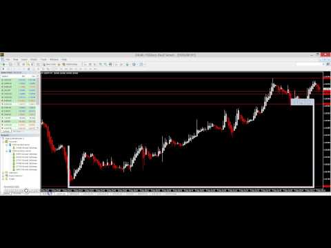 free forex signals telegram