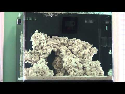 how to cure aquarium rock