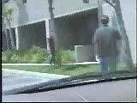 Stupidty and Police Officers