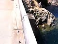 Cle Elum River Bridge Jump #1 Cle Elum River Bridge Jump #1