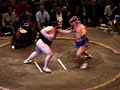 Sumo 2