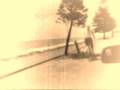 madness.wmv