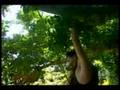 videos de James Wirtanen's Greatest Moments Part 11