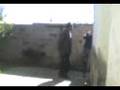 videos de patadon del mudo cananea