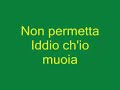 Sabi� Poliglota - Turdus lawrenci