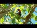 videos de Real Estate/ Bundeena/ Property Video