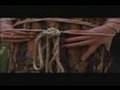 Secretary The Chariots Rise by Lizzie West