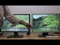 LCD Monitors IPS vs TN Panel difference