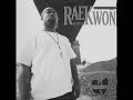 Raekwon - Rainy Dayz Remix Instrumental