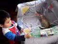 shinzon y renato