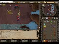 Killing the Contact! quest scarab beetle