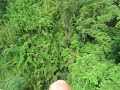 Gibbon Experience: On the zipline