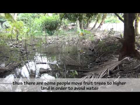 how to provide technical guidance