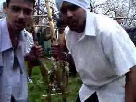 Ballin Brownies-Sugar Cane-B.I.T.