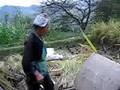 videos de Harvesting the 