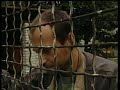 Kukiz - Wypowiedź
