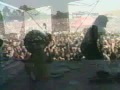 Nofx live Together on the Sand and Green Corn Nofx live Together on the Sand and Green Corn