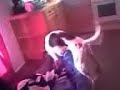 dog fucks his bed