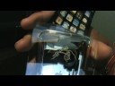 iPod Touch 2G Unboxing iPod Touch 2G Unboxing