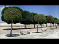 Parque Pedro Almodóvar en 360º