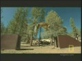Deadly San Francisco Zoo Tiger Attack