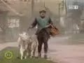 Vazul nénje beindúl