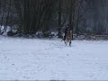 Rebecca och Mio, vinterritt