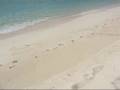 videos de Puka Beach in Boracay