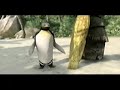 surfista em itaja� - 2 parte