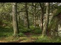 Peter Schilling - Solange Glaub Ich Dran