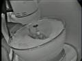 Ernie Kovacs - Kitchen Symphony