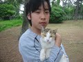 野良猫のコミュのサイトが閉鎖されることになり。。せっかくの画像もなくなってしまうのでフォトストーリーにしました。