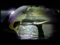 Yannis Tselempis  Ray of Hope (Greek)