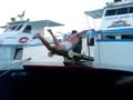Ibiza Boat Jumping - Scott the monkey