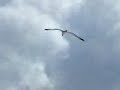 ανατινάζεται το φως http://www.youtube.com/watch?v=DXDQLBQ45NY
