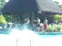 swimming 08