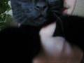 videos de Scooter.wmv
