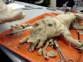 videos de Pig Fetus Disection