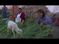 See Video