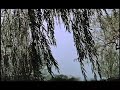 First Reel of 16mm Using Bolex Rex4