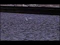 First Reel of 16mm Using Bolex Rex4
